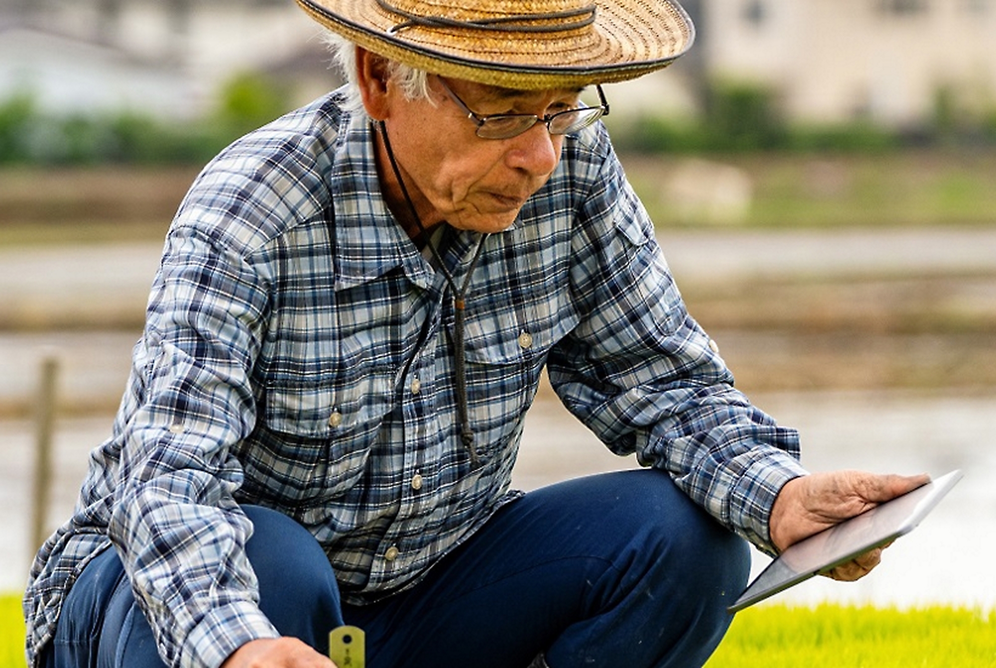 A man in a straw hat and glasses looking at a piece of paper.