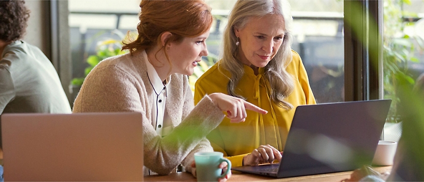 Women looking at a computer screen