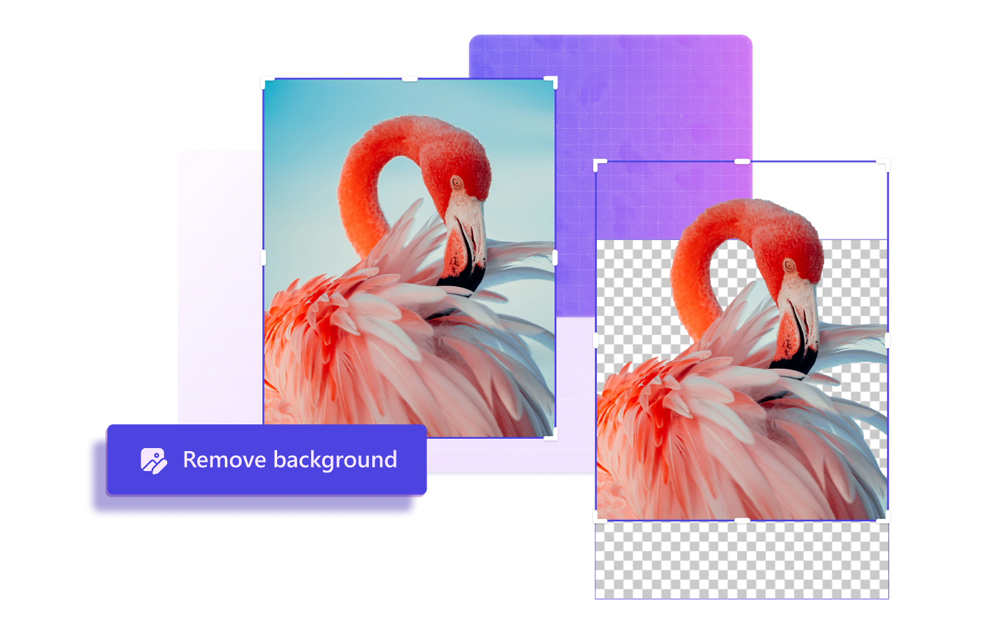 Image showing a tool removing the background from a photo of a flamingo.