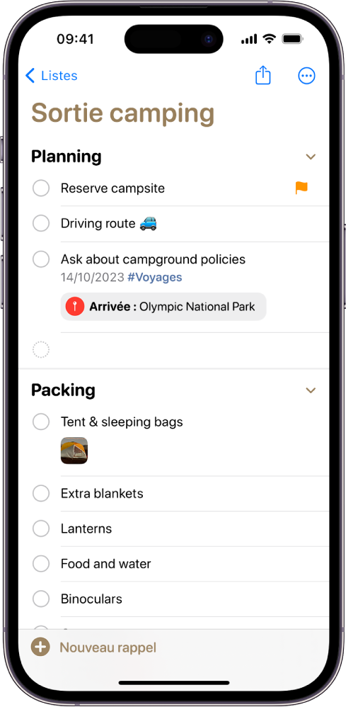 Une liste pour un séjour en camping dans Rappels. Des tags, lieux, drapeaux et photos sont joints à certains éléments. Le bouton « Nouveau rappel » se trouve en bas à gauche.
