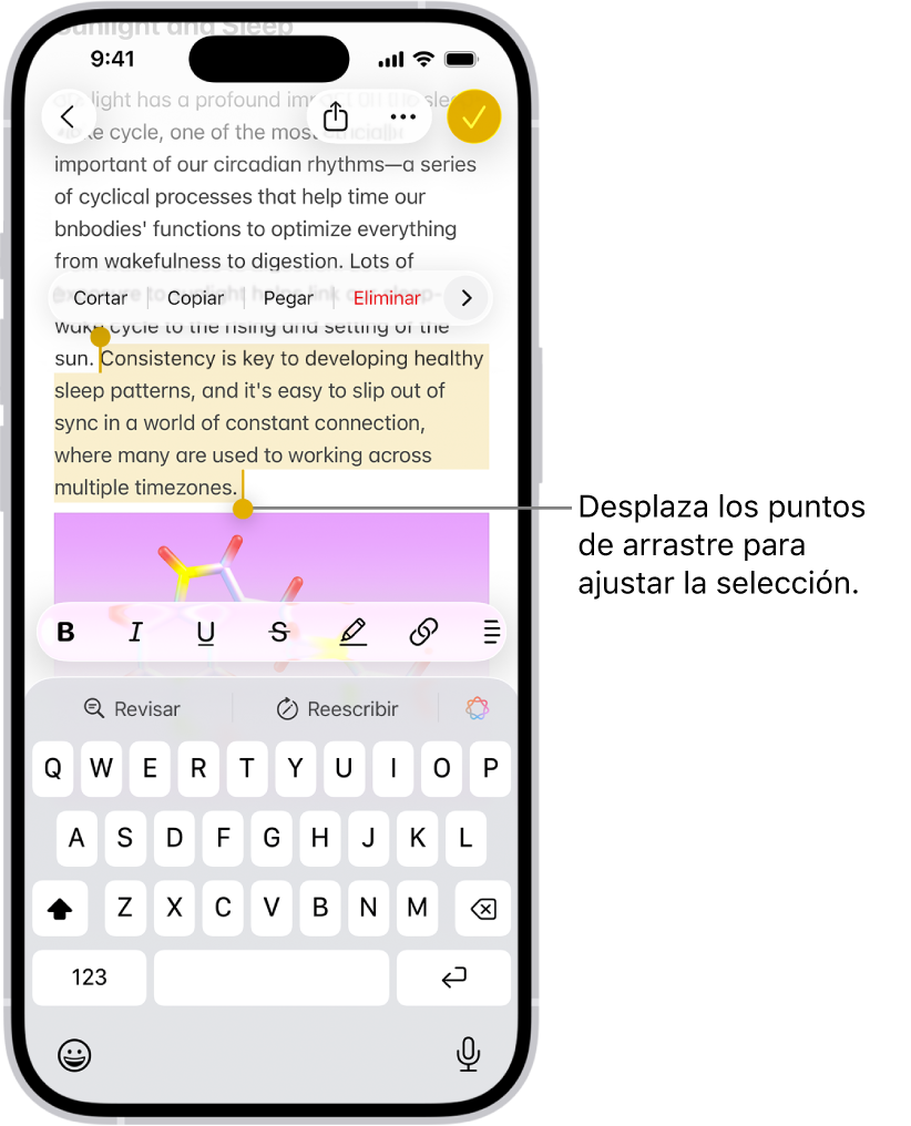 En la app Notas, hay texto seleccionado en una nota. Encima de la selección están los botones Cortar, Copiar, Pegar y Autorrellenar. El texto seleccionado está resaltado, con puntos de arrastre en cada extremo que permiten ajustar la selección.