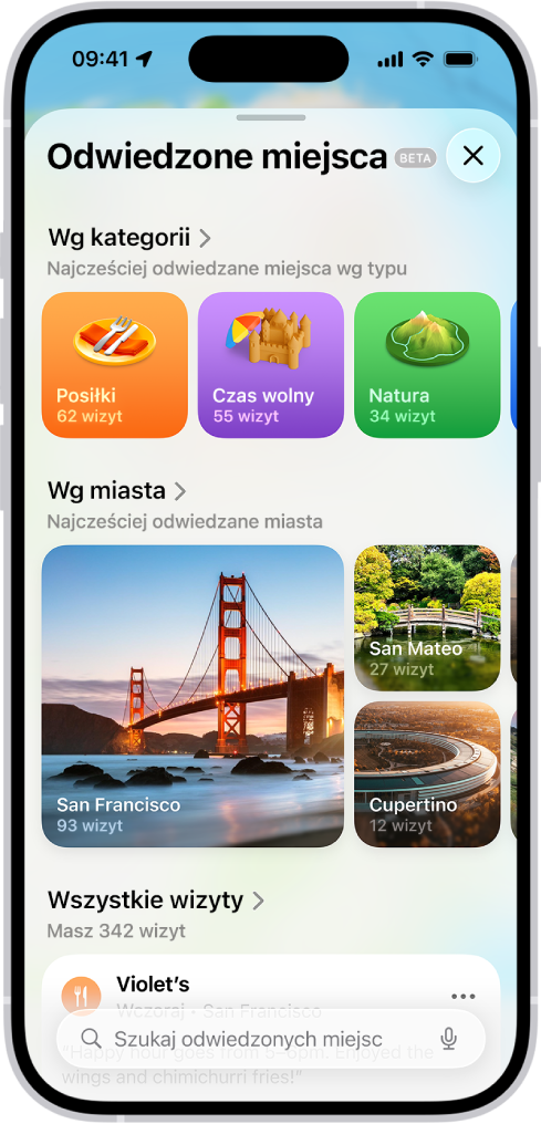 Ekran Odwiedzone miejsca w aplikacji Mapy. Karta na ekranie wyświetlająca są kategorie odwiedzonych miejsc — Transport, Zakupy i Przemysł — oraz liczbę wizyt w każdym z nich.
