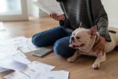 Woman organizing bills with bulldog.