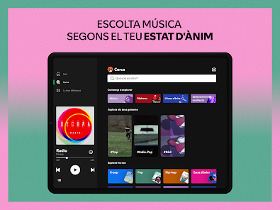 Imatge d'una captura de pantalla