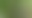 18 y/o fucks in shrubbery