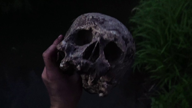 1. Download full pics of Predator Cock Hunter from movieporn.com