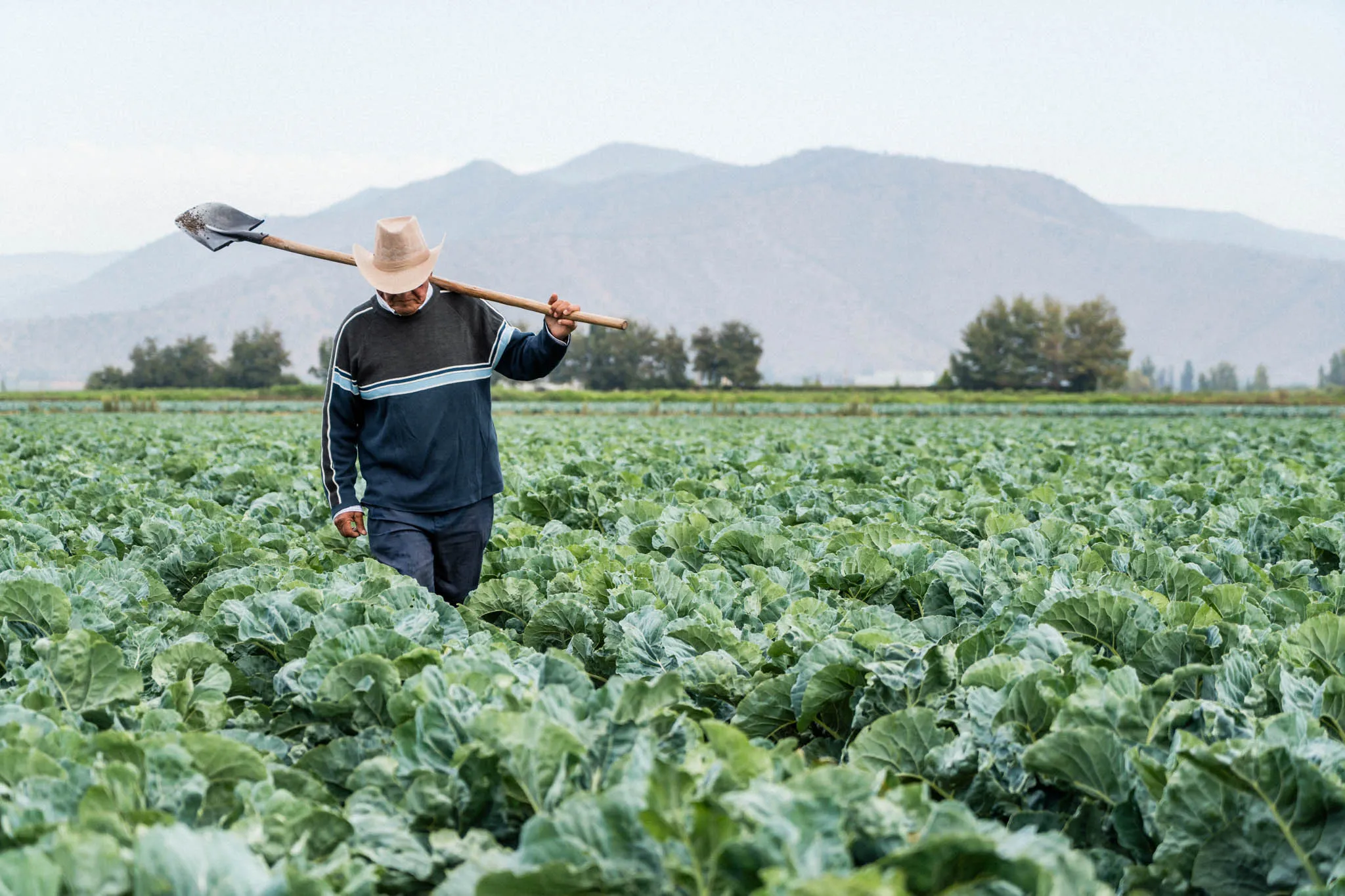 Reservoir repair to improve irrigation efficiencies